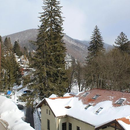 Central Park View Sinaia Eksteriør bilde