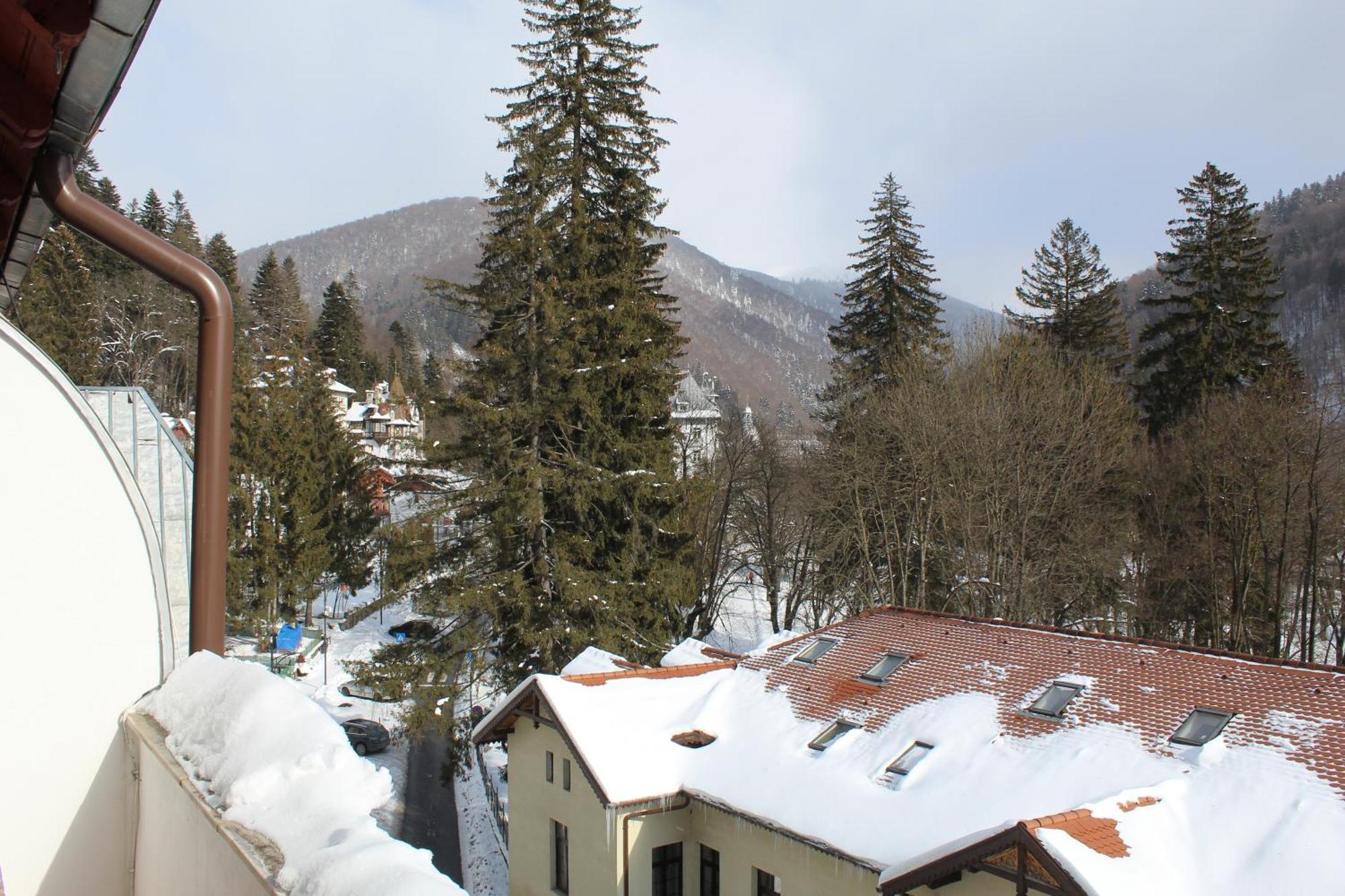 Central Park View Sinaia Eksteriør bilde