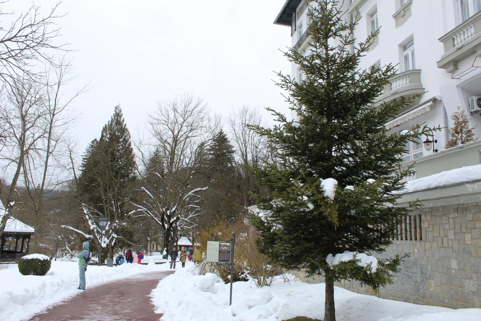 Central Park View Sinaia Eksteriør bilde