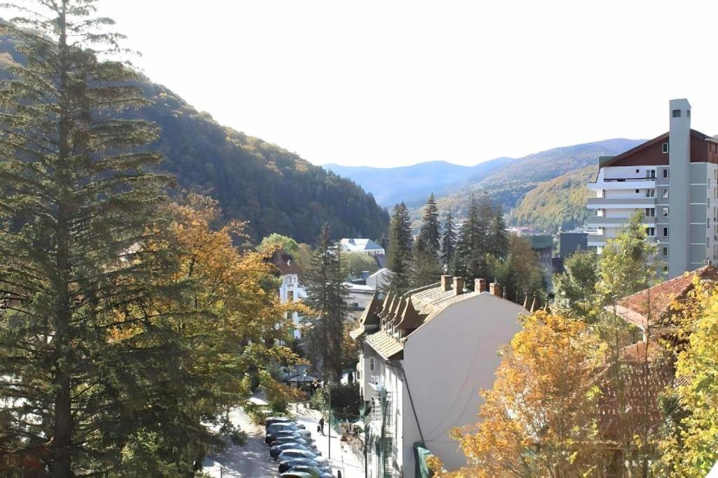 Central Park View Sinaia Eksteriør bilde